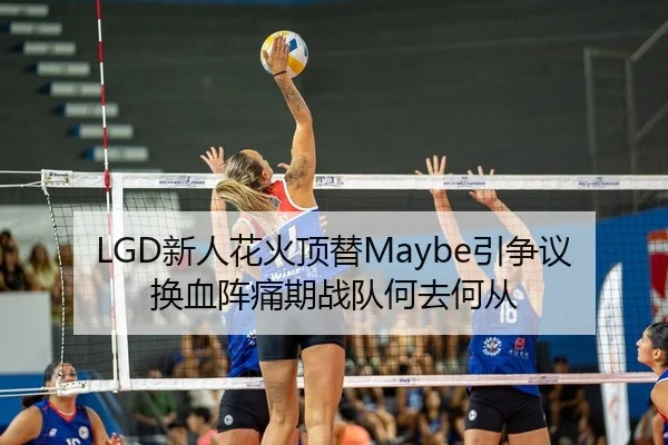 LGD新人花火顶替Maybe引争议 换血阵痛期战队何去何从